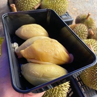 PROMO Fresh Durian KL & PJ Non-Frozen Organic Raub Musang King/D24/XO/Red Prawn/Tekka/Kampung/Kahwin