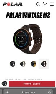 Polar vantage m2 watch