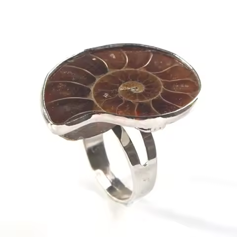 Spiral-Natural Ammonite Shell-Finger Ring Fossil-Pendant Ring Beach Joint Ring for Women Jewelry Gif