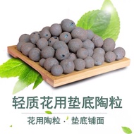 1L LECA balls Clay pebbles: terrarium, hydroponics | 陶粒