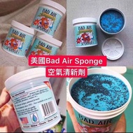 🇺🇸美國直送🇺🇸 Bad Air Sponge 除甲醛空氣淨化器清新劑 (450g)