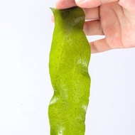 【聖誕特惠-免運】裙帶菜150g/袋烘乾海帶干貨禮物/方家鋪子