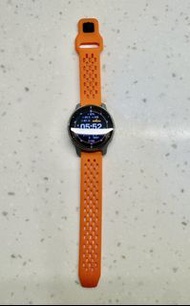 Garmin Venu 2 Plus智能手錶