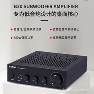 BRZHIFI B30 Mono High Power Full Frequency/Subwoofer TPA3255 Fever Digital Power Amplifier 480W