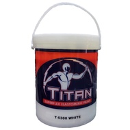 Titan Superflex Elastomeric Paint White by Boysen Paints - 4L