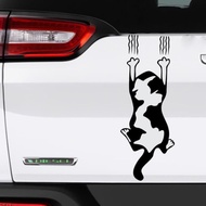 Cutting cat stickers, animated cartoon cat stickers