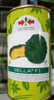 BELLA F1 HYBRID SQUASH SEEDS 425 SEEDS (EAST WEST SEEDS)