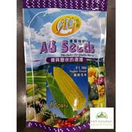 (+-500GM) BENIH JAGUNG F1 AG 308 ICORN SUPER SWEER 超甜玉米