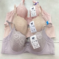 Wacoal Basic Bra Model WB9924 WB9D30 Normal 850.-