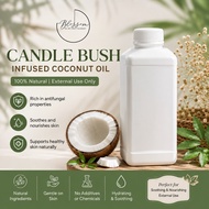 Candle Bush | Daun Gelenggang | Daun Senna Infused Coconut Oil | 对面叶浸泡椰子油 | Anti itchiness | Eczema 