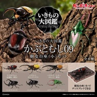 Living Creatures Encyclopedia Rhinoceros Beetle 09 9 Bark Base Gashapon Ikimono Bandai