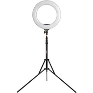 26cm LED Ring Light with 2.1M Tripod Stand Youtuber FB Live Mobile Phon Shooting Tiktok Live Stream 