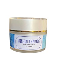 Shineskin Skincare Cream Malam L2 Brightening-2 Gratis Ongkir