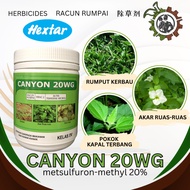 HEXTAR CANYON 20WG 250G RACUN RUMPAI HERBICIDE