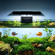 Fish Tank LED Light for 1ft|1.5ft | 2ft Fish Tank.