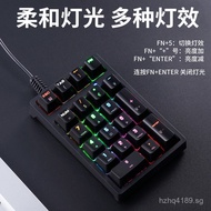 Green Axis Multi-Function Accounting Laptop Wired Mini Keyboard Financial Keyboard Keys2.4G Real Mec