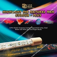 MAYIN PLUS INTERNATIONAL VIEW LAMP UV PLUS AND NIGHT MODE AROWANA FISH VIEW LAMP ARWANA FISH VIEW LA