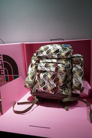 Gucci x the North Face luggage backpack