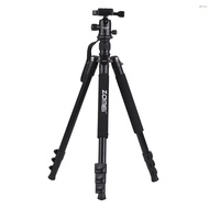 Toho ZOMEI Q555 63inch Lightweight Aluminum Alloy Travel Portable Camera Tripod with Ball Head/ Quick Release Plate/ Carry Bag for Canon   DSLR