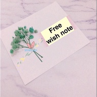 FLOWER card / Free wish notes / baby breath / unique / birthday /farewell / graduate