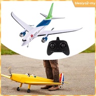 [BlesiyaedMY] RC Foam Airplane Model Toy RC Glider Jet Fighter Foam Model Anti Falling RC