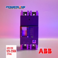ABB A2N TMF 125A-250A 2 Pole Molded Case Circuit Breaker