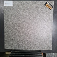 Essenza Graniti Grigio Perla Granit 60X60 Cm