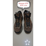 Gore-Tex Low Trekking Shoes