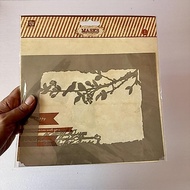 Prima Marketing 7x9 Bird Mask Stencil