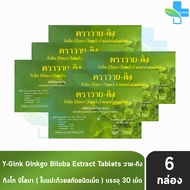 Y-Gink Ginkgo Biloba วาย กิง กิงโก บิโลบา ใบแป๊ะก๊วยสกัด 30 เม็ด [6 กล่อง] G0042 801