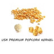 PopCorn Biji Jagung /PopCorn Kernel Bertih Jagung Mushroom Popcorn Mushroom Kernel 爆米花/ 玉米粒  premium top quality