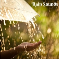 Beautiful Rain relaxing Music cure music Healing Music mp3