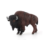 Bison wild cow model, Bison wild cow (big, big), American Bison