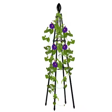 Garden Climbing Vines Flowers Stands Trellis Plant Support Climbing Plants Lattice Rose Plant Balcon