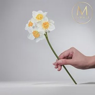 【Floral M】浪漫限定冬季西洋水仙花仿真花花材 （4入組）