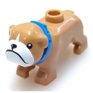 66260 6288073 Bulldog Puppy Blue Collar Pet 60258 Animal [Genuine LEGO LEGO Type]