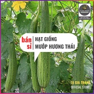 [Wholesale] - Thai Luffa Seeds