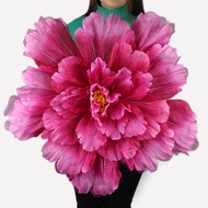 BSKT | Stage Use Holding Flower Decoration