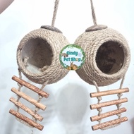 Bed for Bugs, Hamsters, Flying Squirrels, Cotton Squirrels, Ground Squirrels...