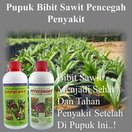 Pupuk Npk Cair Untuk Kelapa Sawit / Paket Lengkap Pupuk Organik Cair Nasa