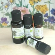 法國Aroma-Zone茶樹精油原裝瓶 10ML(一般跟有機）