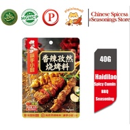 🔥海底捞🔥海底捞烧烤调料撒料家用烤肉孜然粉蘸料专用腌料烤串干料空气炸锅调味料 | Haidilao BBQ Seasoning Powder | Perasa Periuk Bakar Haidila