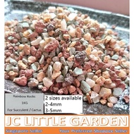 JCLSGP Rainbow Mix Stone Soil for Succulents & Cactus