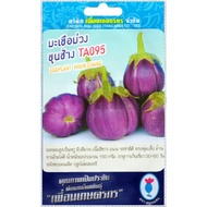 Eggplant Seeds Khun Chang TA095 Farmer's Friend Brand