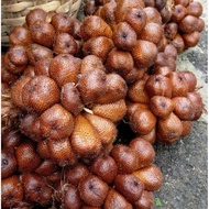 salak pondoh super Banjarnegara 1kg
