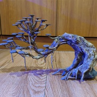 Bonsai Aquascape for Tank Below 45cm