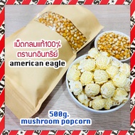 (ส่งไว)เมล็ดป๊อปคอร์นพันธุ์เห็ด ตรานกอินทรีย์ No.1 นำเข้าจากอเมริกา (PopcornMushroomเมล็ดข้าวโพดเมล็ดทำข้าวโพดคั่วป๊อปคอร์น) 500 กรัม