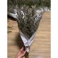 Dried Flowers Caspia