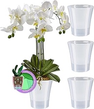 Santino Set of 4 Transparent Orchid Pots with Self-Watering Wick System Diameter 15 cm Transparent 2