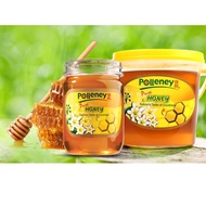 Polleney Pure Honey